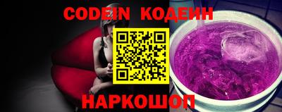 МДПВ Кингисепп