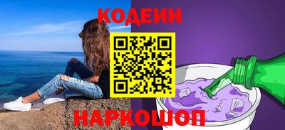 МДПВ Кингисепп