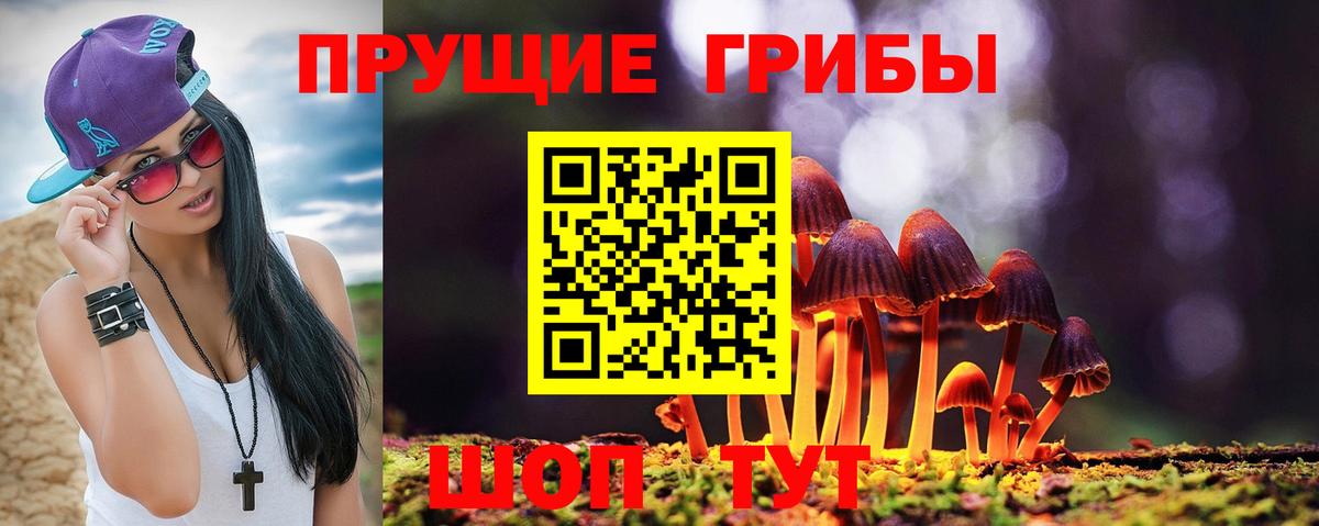 Котельники  Псилоцибиновые грибы ЛСД  Псилоцибиновые грибы MAGIC MUSHROOMS  Вход с VPN 